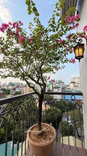 House of Hanoi - 3