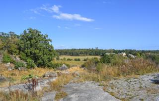 1 Bedroom Pet Friendly Home In Trensum - 2