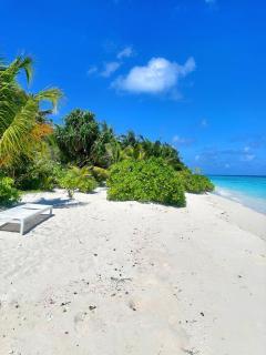 Tropical Sands By Reef Tour - 0