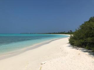 Tropical Sands By Reef Tour - 5