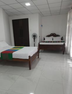 Dinu Villa - 1