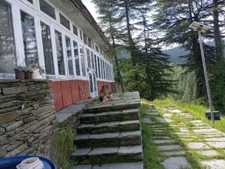 Jungle Homestay - 8