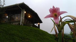 Finca Y Granja Loma Bonita - Turrialba - 6