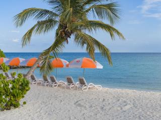 Kaani Palm Beach - 8