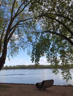 Klimatisierte Ferienwohnung Schloßblick in Geisenheim am Rhein - Rheingau - 1