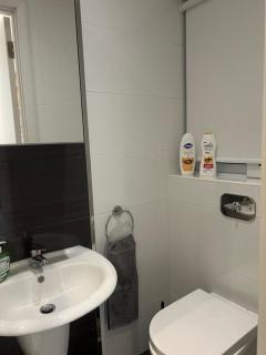 Entire guest suite - 2