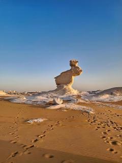 White desert overnight - 9