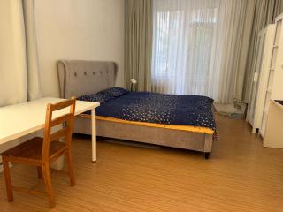 VERY central location near State department store - Ulaanbaatar - 6