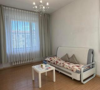 VERY central location near State department store - Ulaanbaatar - 9
