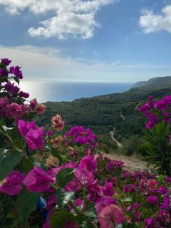 Tassis Apartments - 4