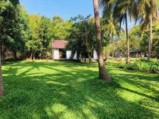 Aurelia Sigiriya - 9