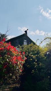 NEKED House - 9