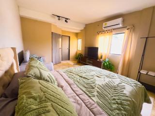 Tropical Flex x4 Air conditioning, Wi-Fi, CC UNICO Malecon - 2