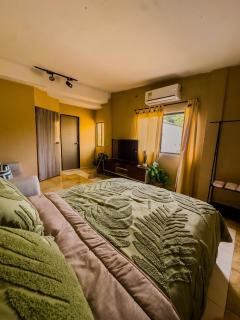 Tropical Flex x4 Air conditioning, Wi-Fi, CC UNICO Malecon - 0