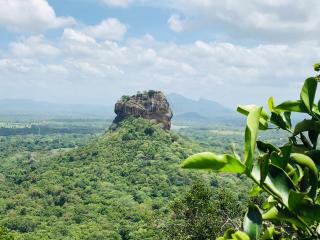 Sigiriya Lakmal Resort - 9