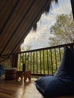 Tribu Hostal Minca - 1