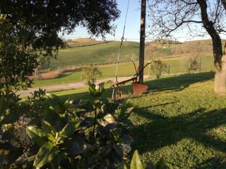 Agriturismo Podere Selvette - Campagnatico - 5