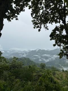 Ameya Retreats - 4
