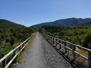 Cabaña Cordillera 1 - 1