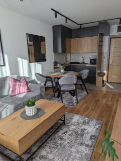 Zlatibor - Apartman 8 - Vila Dunav - Sauna & Free Parking - 8
