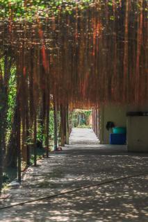 Thao's Farm - 5