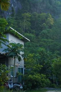 บ้านเล็กในป่าใหญ่ พัทลุง - 7