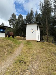 Villa berlina - 2