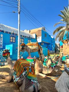 Taam Elbyout Nubian Village - 4