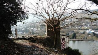 Hüttenflair-Mosel Ferienwohnung - Enkirch - 1