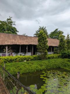 Tushita Ban - Kaziranga - 6