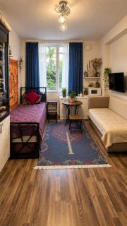 Mini studio apartment - 1