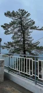 Go Glam Hotels Murree - 5