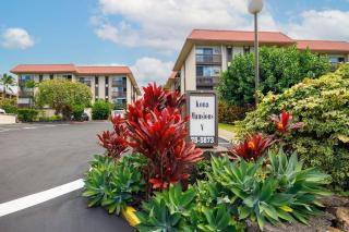 Kona Mansions#309 - 4