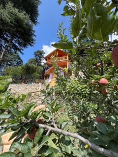 Poonira Heights Cottage - 0
