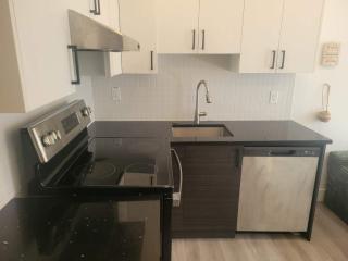 Cozy 2-Bedroom Apartment in Vibrant Montreal - 2