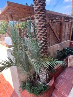 Pieds dans LÖ - Batroun - 5