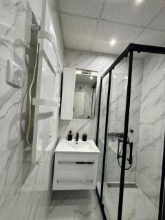 Studio Apartman Leontina Vrnjačka Banja - 9