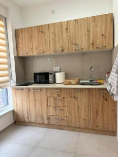Studio Apartman Leontina Vrnjačka Banja - 5
