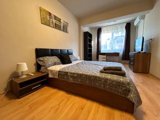 Nice, Spacious and Cozy Apartment - 2