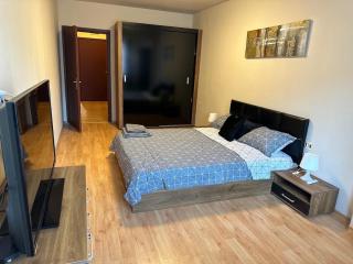 Nice, Spacious and Cozy Apartment - 3