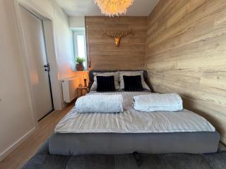Einzigartiges Apartment in Plauen - 4