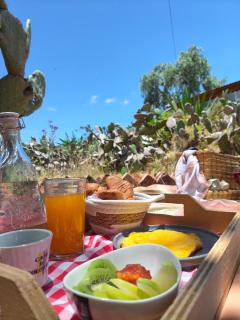 Glamping Entre Nopales - Sáchica cerca a Villa de Leyva - 5