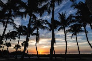 Sanibel Island Beach Resort - Sanibel - 6