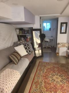 Netzero home with separate Ecoapt Bsmt - 2