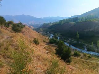 Umar GUEST HOUSE - 6