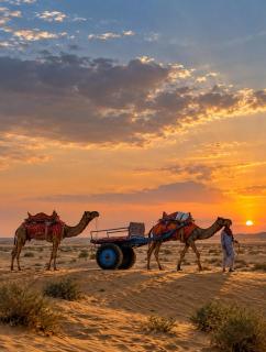Sam Desert Safari Camp Jaisalmer - Luxury Desert Camp - 8
