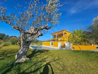 Herdade Amarela - Exclusive Country House - 7