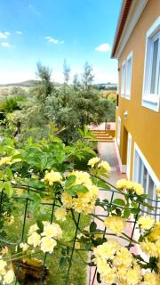 Herdade Amarela - Exclusive Country House - 4