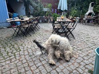 Bauernhofherberge Hortus Sandrine Free WiFi Gemeinschaftsbad - 1