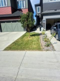 Cozy 1-Bedroom West Edmonton Basement Suite - 4